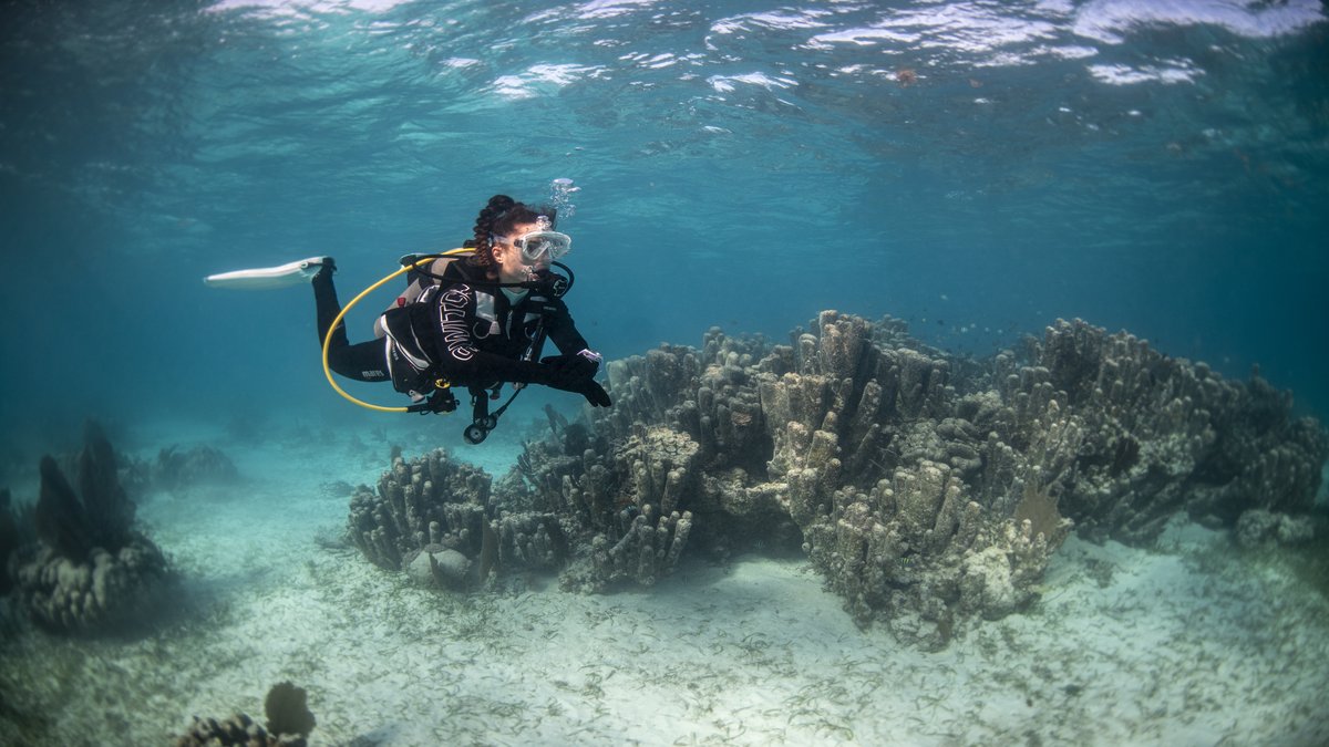 CMAS diving students learning underwater skills with certified CMAS instructor
