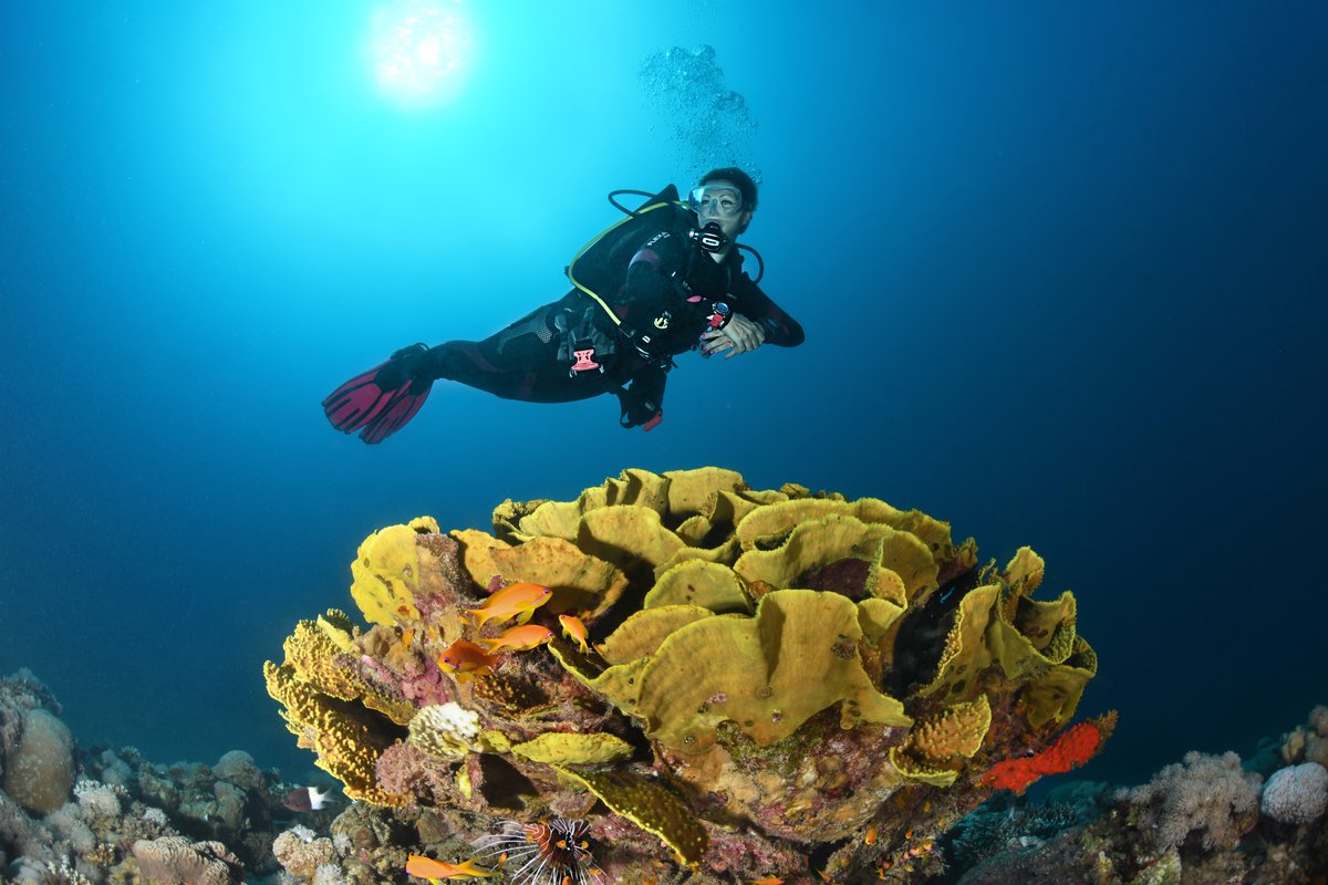 PADI certification training session